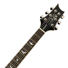 PRS SE Hollowbody Standard: Dog Hair Smokeburst