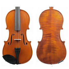 Gliga III Viola Outfit 13 inch