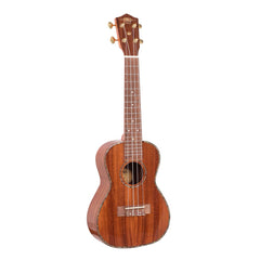 1880 300 Series Concert Ukulele