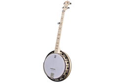 Deering Goodtime 2 5-String Banjo