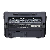 Roland CUBE Street EX Battery-Powered Stereo Amplifier