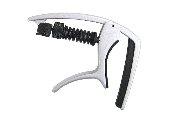 D'Addario Capo Silver