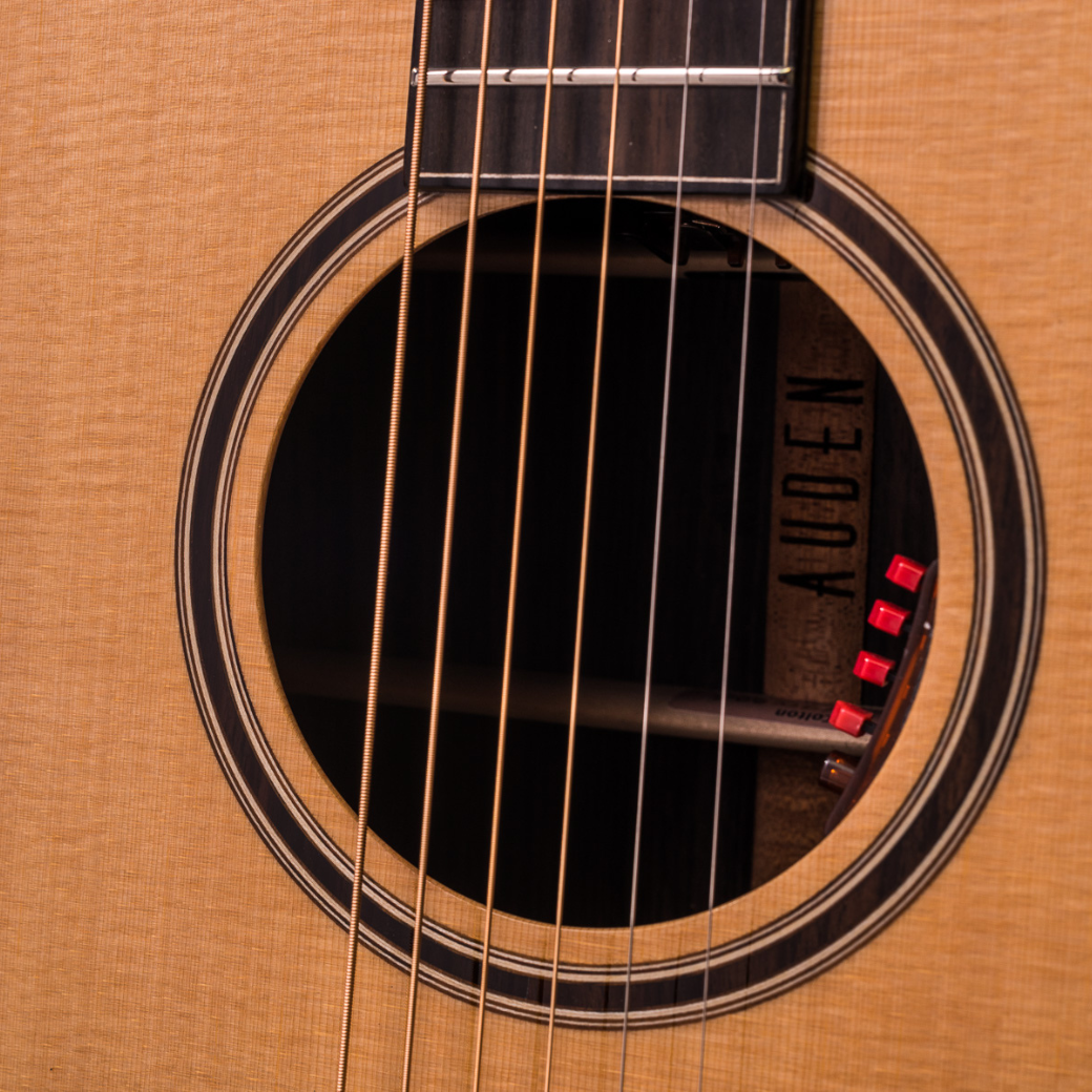 Auden Rosewood Series Colton Spruce Full Body (Dreadnought)