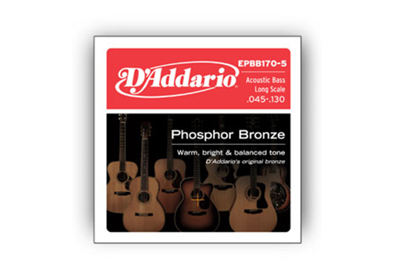 D'Addario Phosphor Bronze Wound Acoustic Bass Strings - Music Corner North
