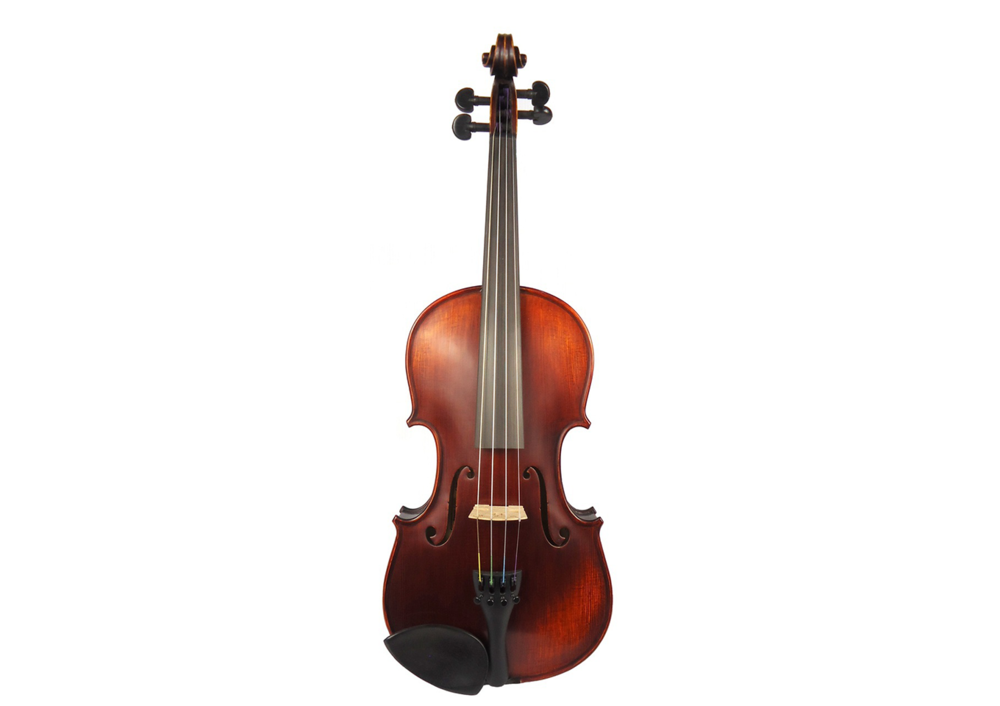 Gliga Vasile Professional Violin