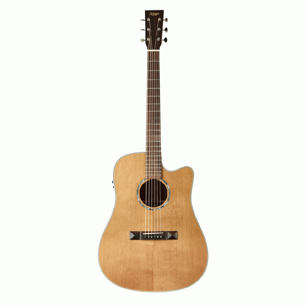 Tasman TA100-CE Cutaway Acoustic Electric w/Case