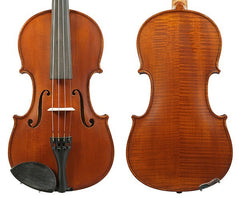 Gliga I Violin Outfit with Pirastro Violino Strings 4/4